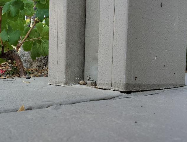 Before PolyLevel® Injection - 3