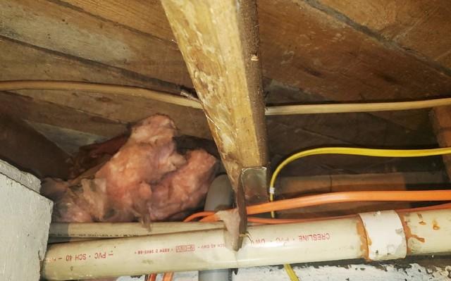 Loose Batting in Rim Joists
