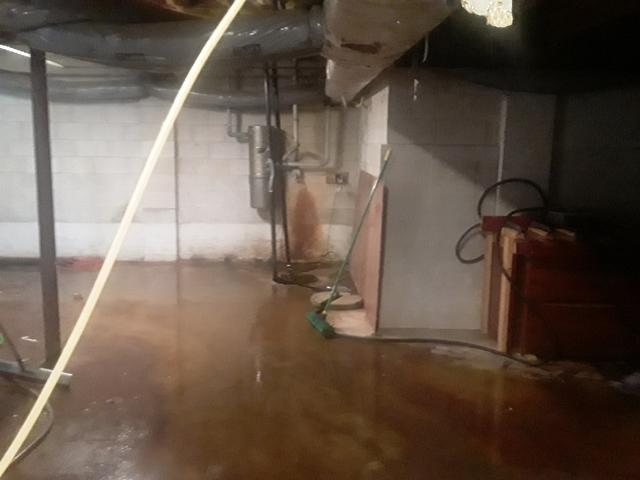 Damp Basement Before