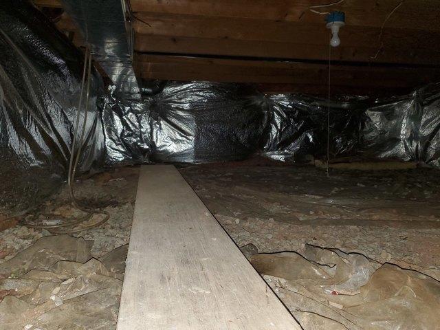 The crawl space before encapsulation, was dark, damp, and a breeding ground for pests and insects.