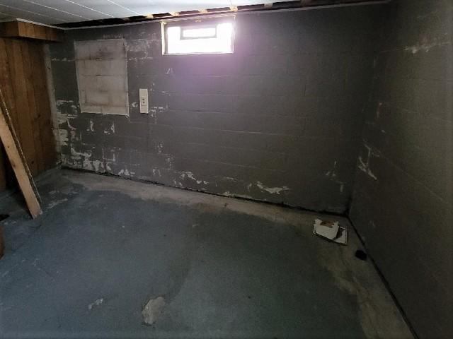 Water Leakage Found in Dundee, Mi Basement