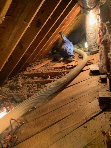 Insulation is removed.