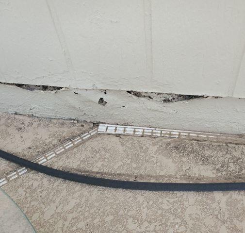 Stem Wall Failure Symptoms: Flaking Paint
