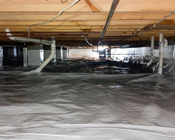 The CleanSpace Encapsulation System keeps bugs and critters out of the crawl space by taking away the moist environment that they thrive in.