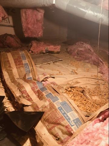 <p>When fiberglass insulation is just a little damp, it loses a whole lot of its insulation value. Here old fiberglass insulation is literally falling down and not providing thermal benefit.</p>