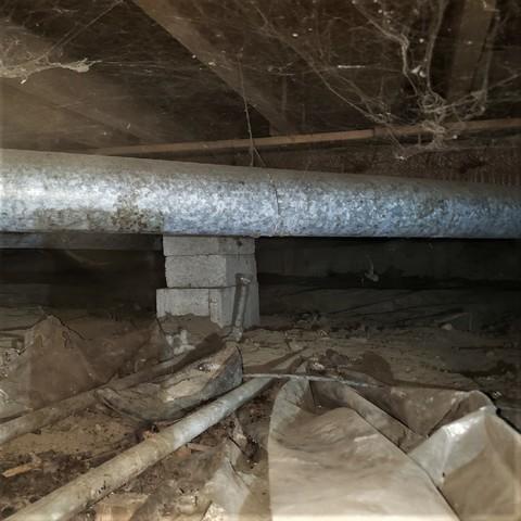 Wet and Musty Crawl Space