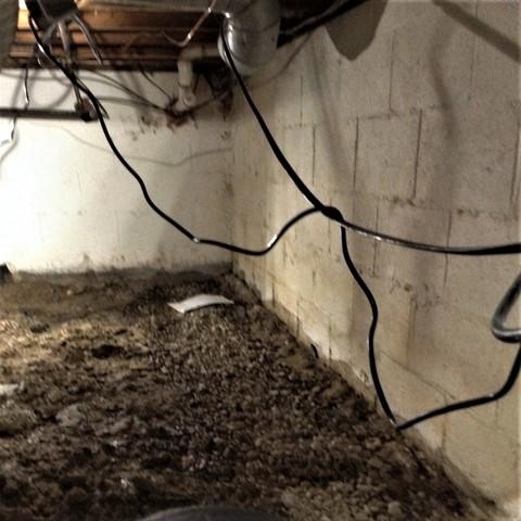 Musty Crawl Space Issues Found in Southefield, Mi