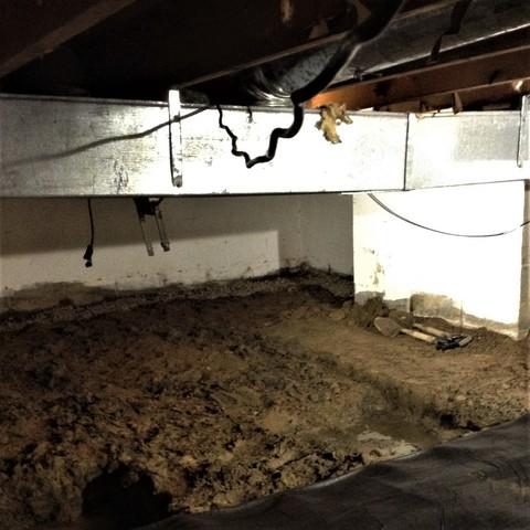 Muddy and Wet Crawl Space Needs Repair in Southfield, Mi