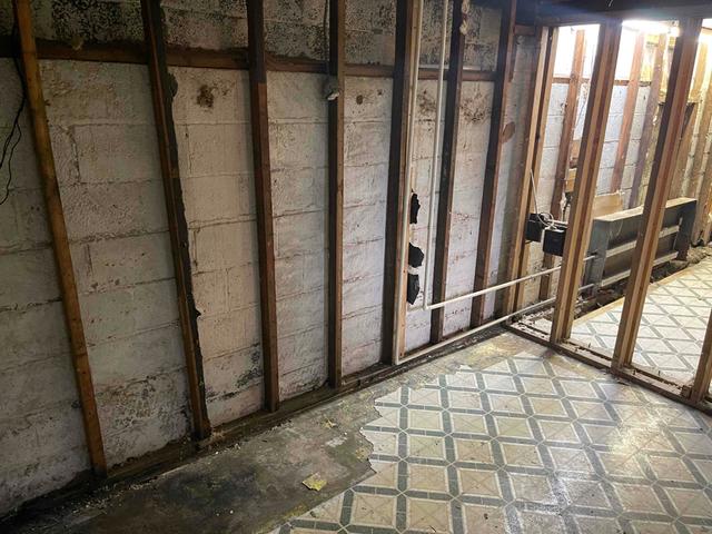 Damp Basement Before