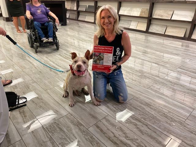 Melo from Hearts Alive who is looking for his forever home!