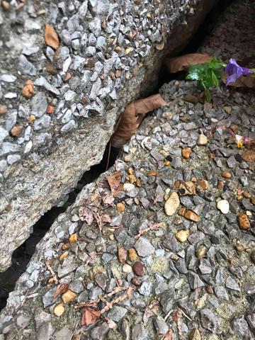 Cracked concrete