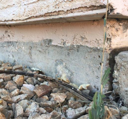 Flaking Paint on Stem Wall in Glendale, AZ