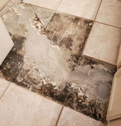 Cracks problems in the Kitchen's Floor