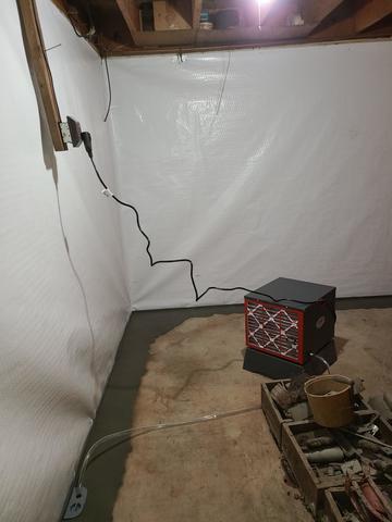 Dehumidifying Basement