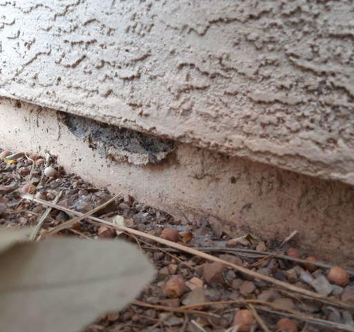 Spalling Concrete on Stem Wall in Gilbert, AZ