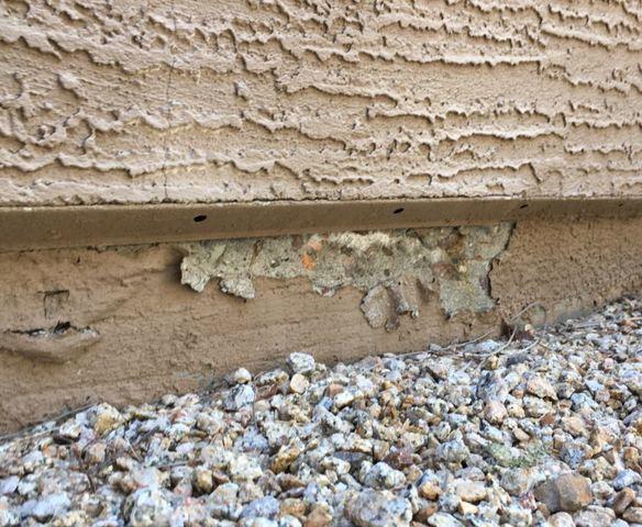Flaking Paint on Stem Wall in Goodyear, AZ