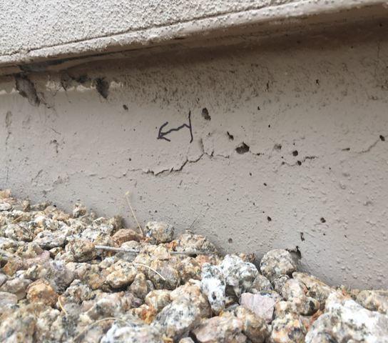 Stem Wall Failure Symptoms: Flaking Paint