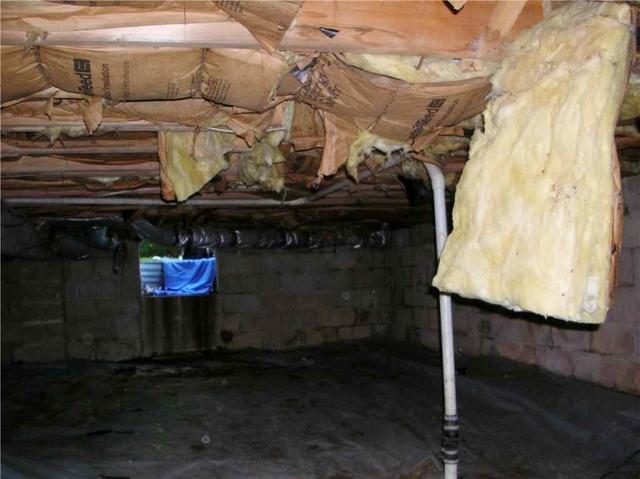 Wet Insulation?
