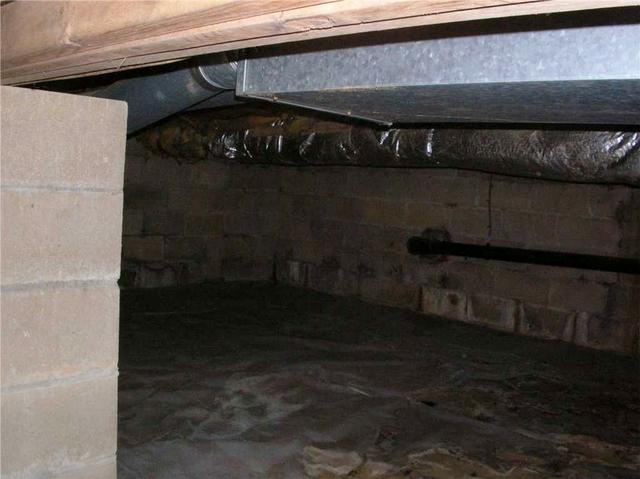 Damp Crawl Space Walls