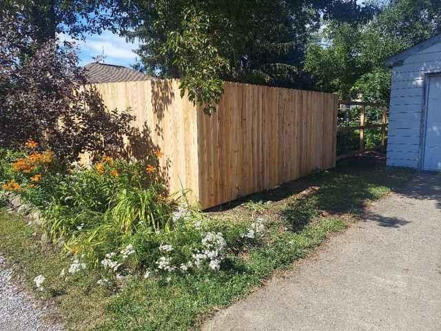 6' Natural Cedar Privacy Fence