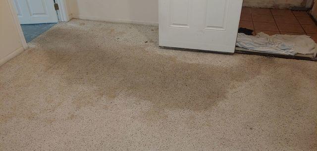 Water Damaged Basement