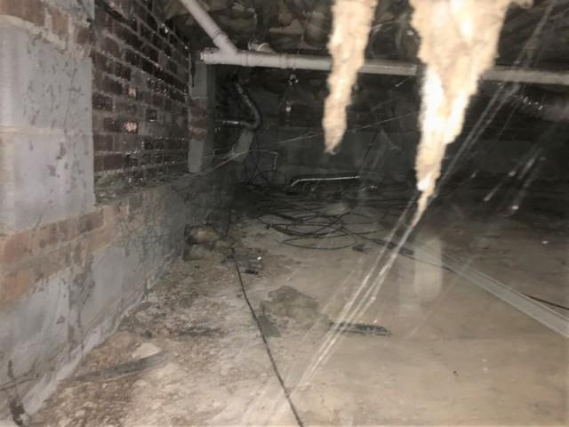 Nasty Crawl Space