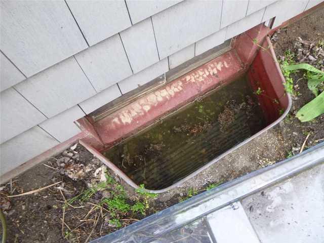 Old Window Well Collected Water