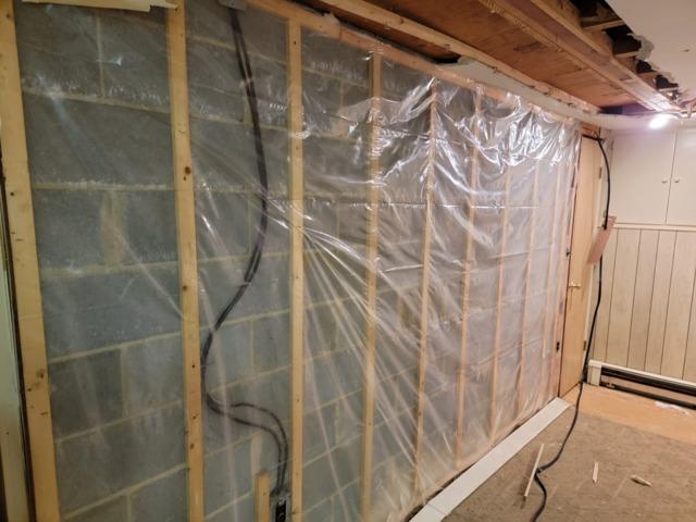 Mold Remediation