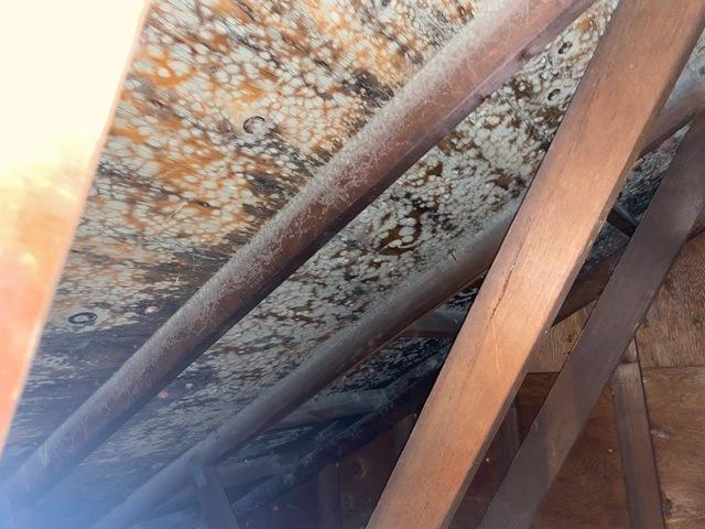 Unlike other areas of the home that are used on a regular basis, a leak that drips into an attic may go unnoticed for a long period of time. Roof leaks may not be noticed until the leak progresses enough to damage the top floor's ceiling, and by that point, the attic's mold growth could be extensive.