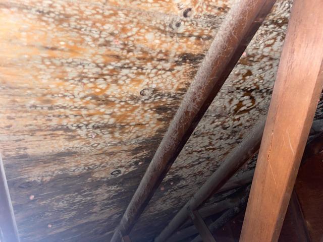 We reported our findings to the homeowner, who mentioned she will hire a roofer to repair the leak after we remove the mold.