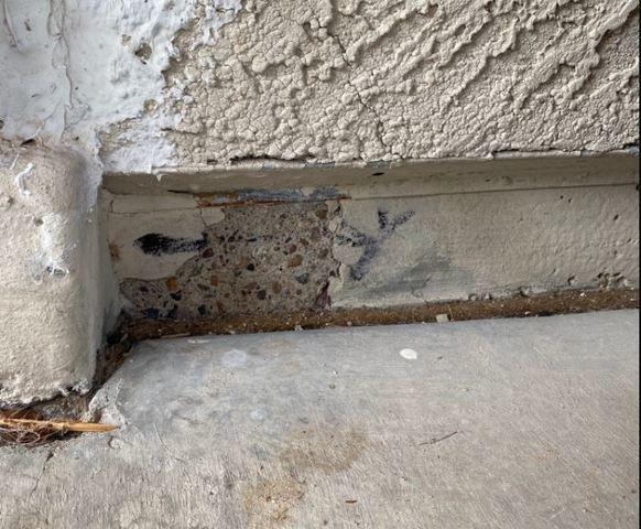 Stem Wall Failure Symptoms: Flaking paint
