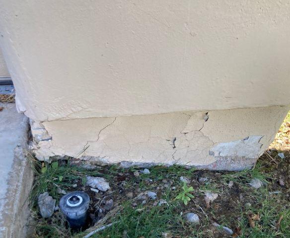 Symptoms of Stem Wall Failure: Flaking Paint