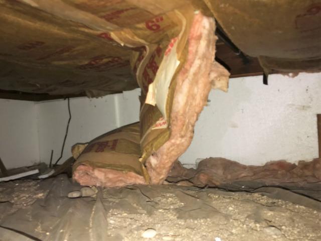 Dirty, Musty Crawlspace in Minneapolis