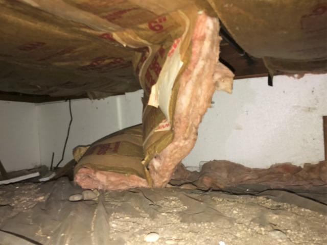 Dirty, Musty Crawlspace in Minneapolis