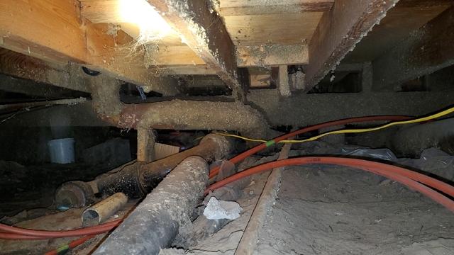 Unsealed Crawlspaces Are Long-Term Threats