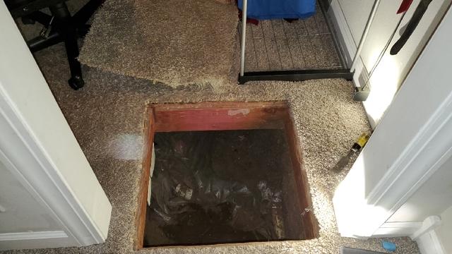 Inside Access to the Crawlspace