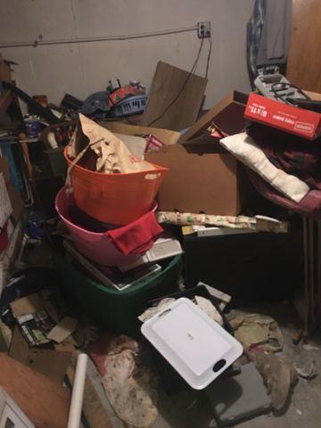 image.jpeg
