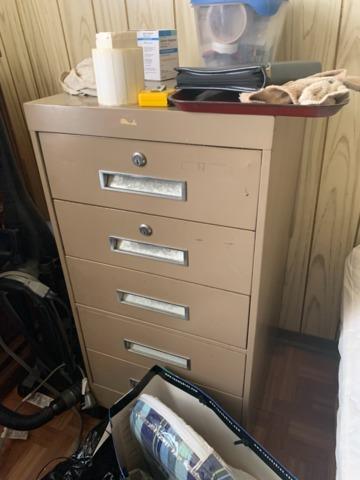 Filing Cabinet in main bedroom.