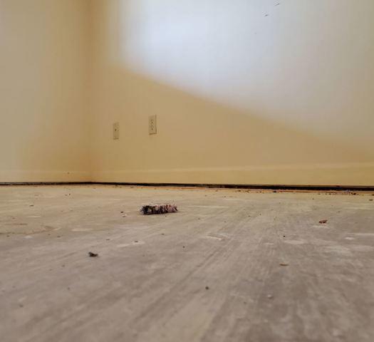 Settlement Problem in Phoenix, AZ - 1