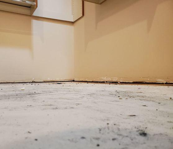 PolyLevel® Injection in Phoenix, AZ