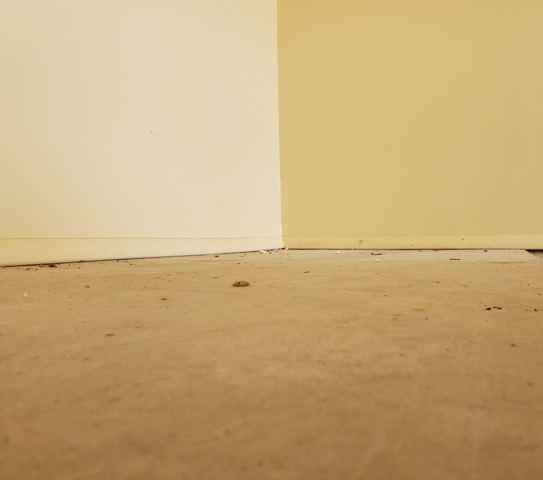 After PolyLevel® Repair System in Phoenix, AZ