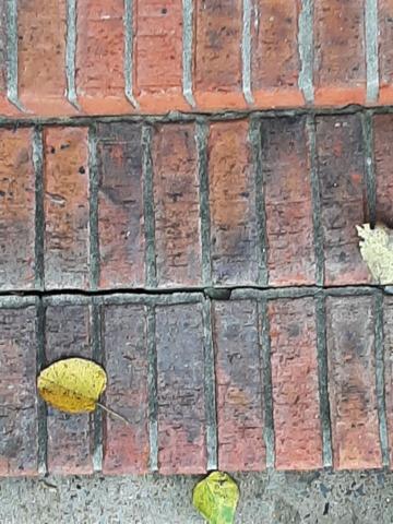 Cracked and unstable steps