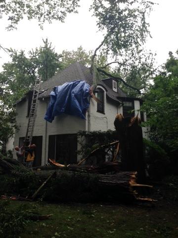 Wind Damage in Winnetka, IL