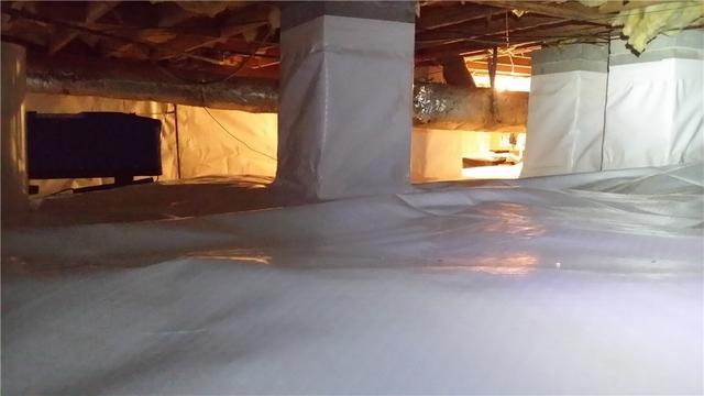 After Encapsulation 1