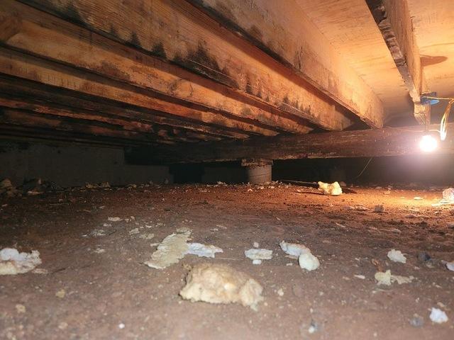 Before Crawl Space Remediation