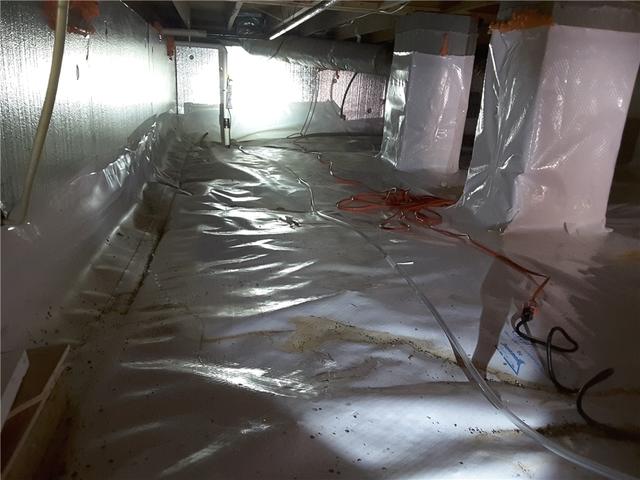After Encapsulation 1