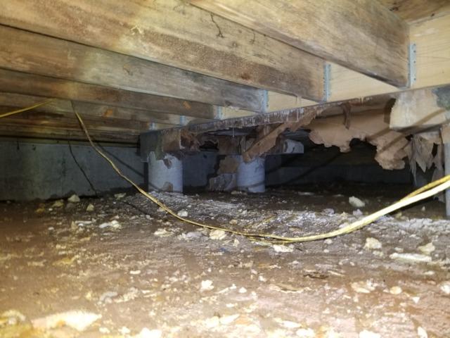 Before Crawl Space Remediation