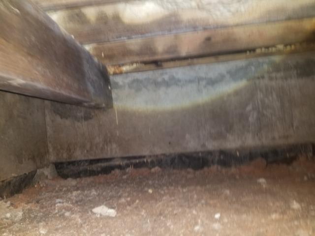 Before Crawl Space Remediation