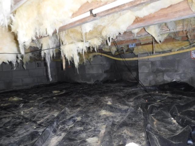 Before Crawl Space Repair in Pittsville, MD