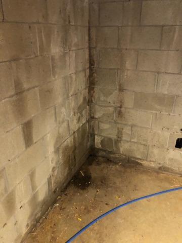 Wet and Leaky Basement